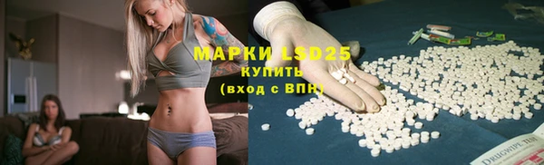 ECSTASY Нязепетровск