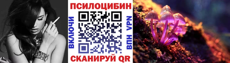 Псилоцибиновые грибы Psilocybe закладка Малаховка